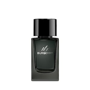 Opiniones Y Reviews De Mr Burberry