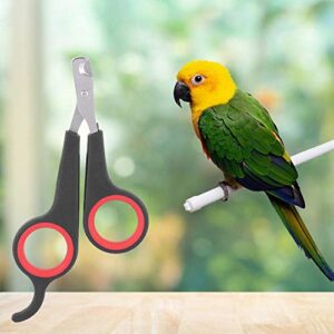 La Mejor Recopilacion De Tijeras Para Aves Que Puedes Comprar Esta Semana