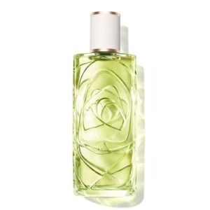 El Mejor Listado De O De Lancome 8211 5 Favoritos