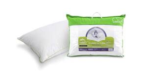 La Mejor Lista De Almohada Pluma De Ganso 8211 Los Más Vendidos