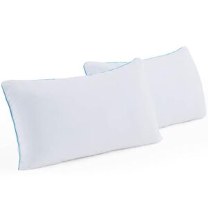 Listado De Un Par De Almohadas Favoritos De Las Personas
