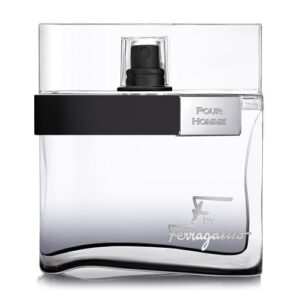 Opiniones De Salvatore Ferragamo Pour Homme Favoritos De Las Personas