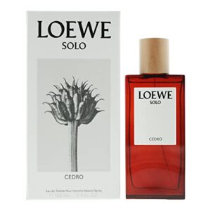 La Mejor Recopilacion De Solo Loewe Cedro Que Puedes Comprar Esta Semana